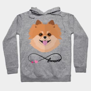 Pomeranian love forever Hoodie